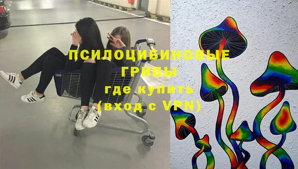шишки Новокубанск