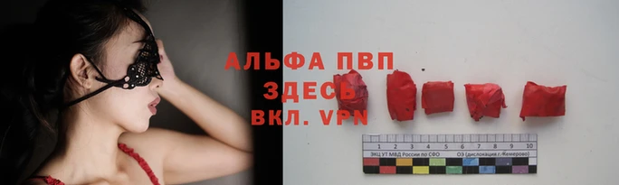 шишки Новокубанск