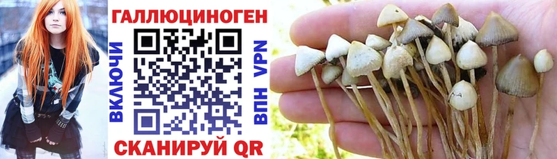 mega зеркало Костомукша Галлюциногенные грибы ЛСД