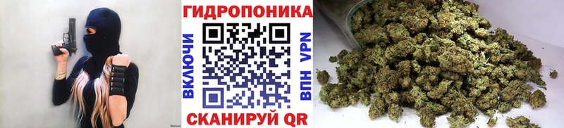 Конопля ГИДРОПОН Костомукша